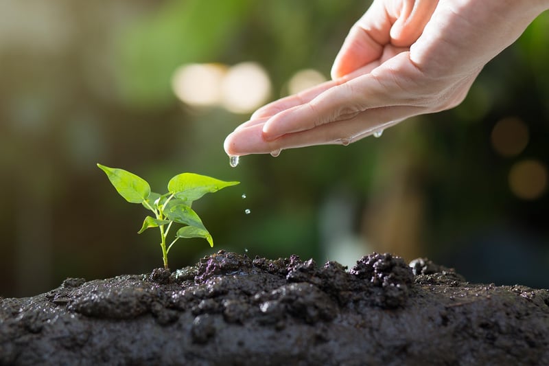Gardening Community